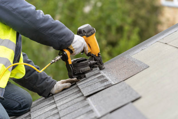 Best Solar Panel Roofing Installation  in Steele, MO