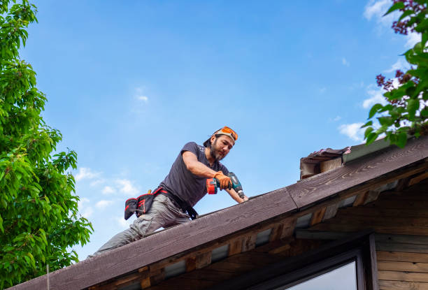 Best Tile Roofing Installation  in Steele, MO