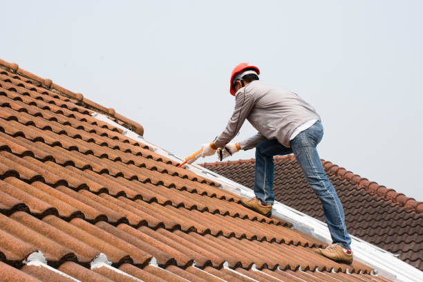 Best Slate Roofing  in Steele, MO