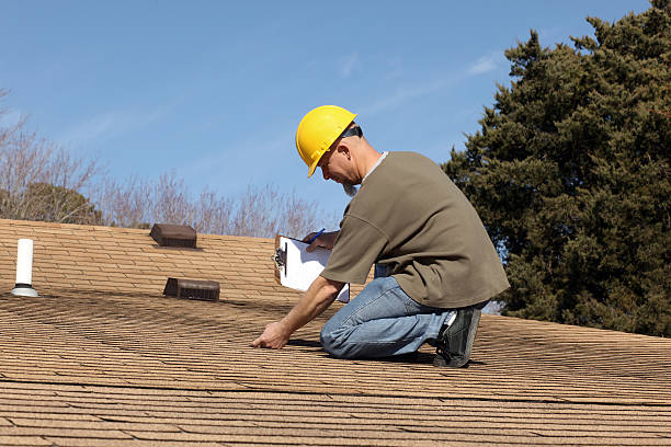 Best Roof Ventilation Installation  in Steele, MO