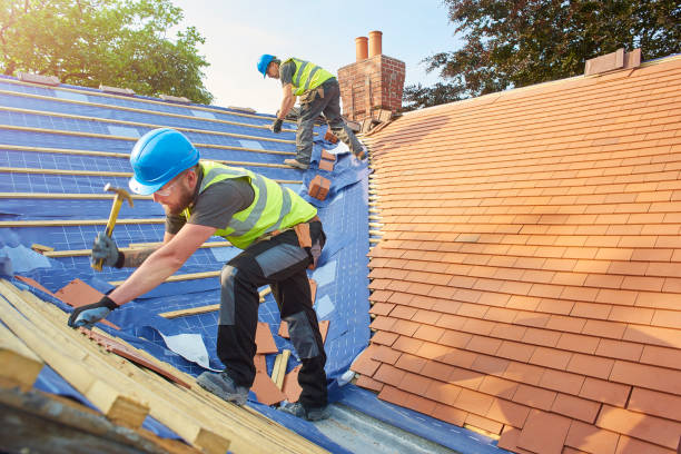 Best Asphalt Shingles Roofing  in Steele, MO